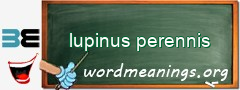 WordMeaning blackboard for lupinus perennis